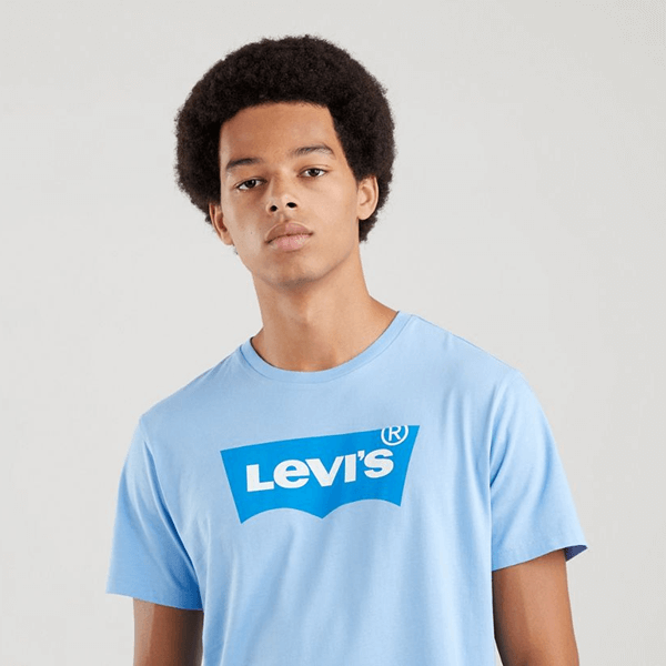 Levi's Ανδρικό T-Shirt - 224911041