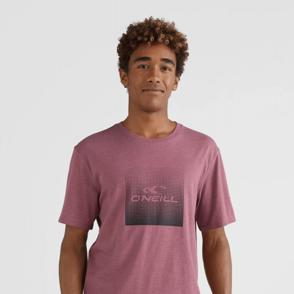 O'neill Ανδρικό T-Shirt - 2850015 13013
