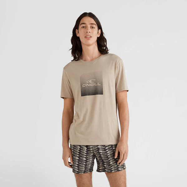 O’neill Ανδρικό T-Shirt GROCKERY - 2850015 17511