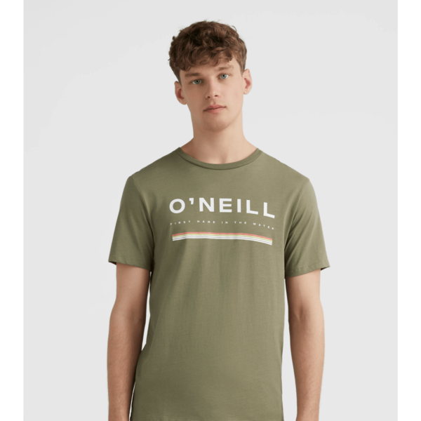 O'neill Ανδρικό T-Shirt N2850009 16011