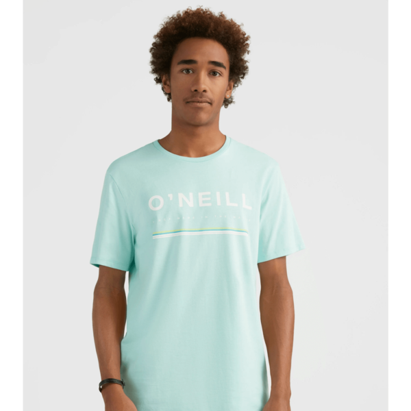 O’neill Ανδρικό T-Shirt N2850009 15043